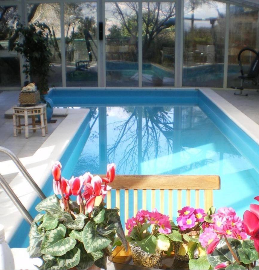 Villa Luce B&B 奧爾比亞 外观 照片