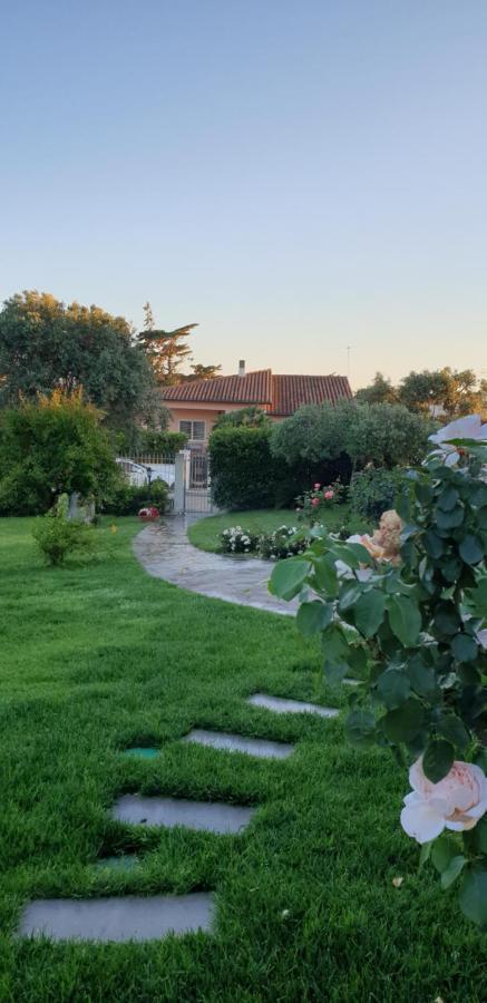 Villa Luce B&B 奧爾比亞 外观 照片