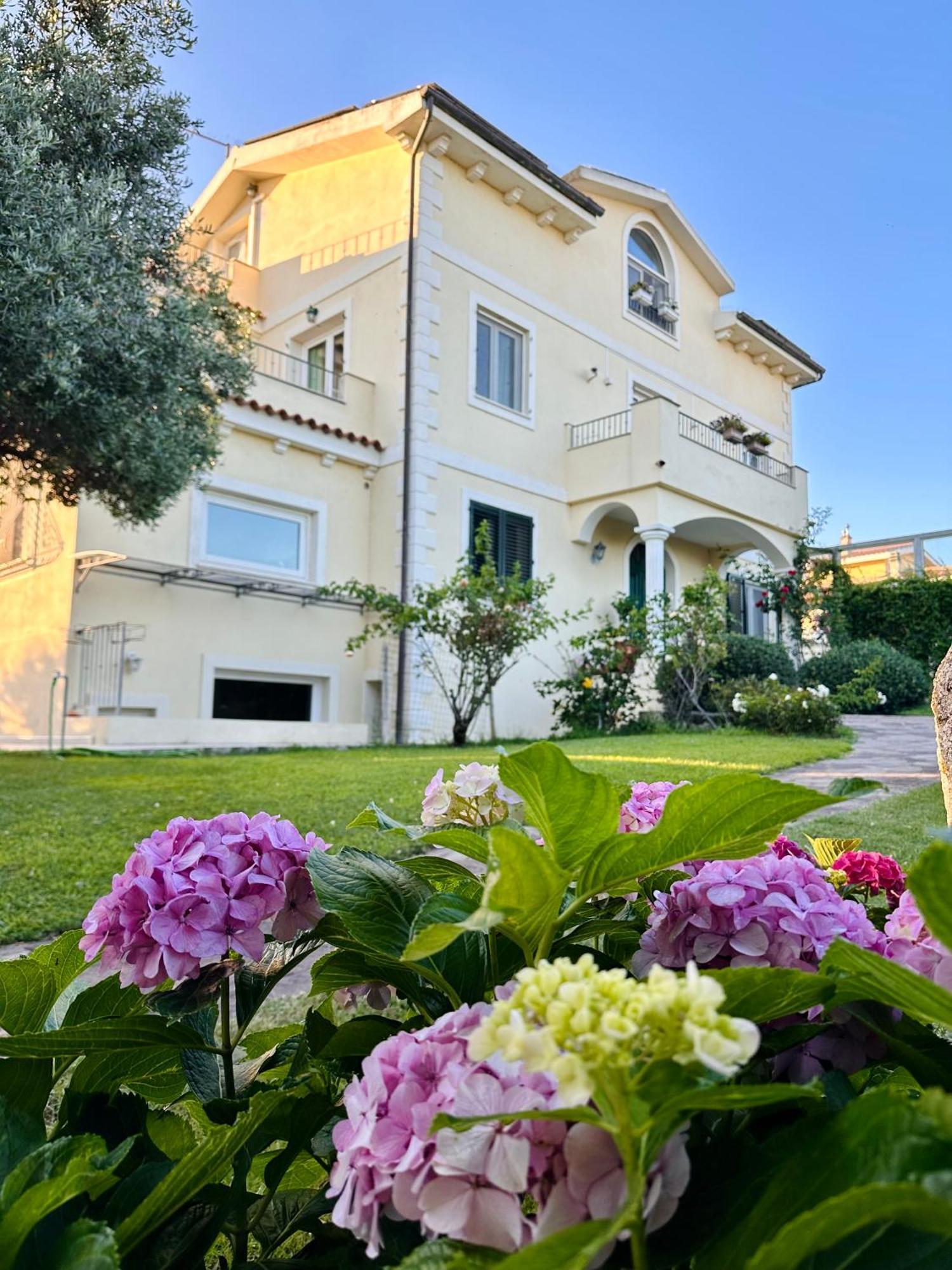 Villa Luce B&B 奧爾比亞 外观 照片